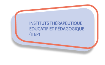 INSTITUTS THÉRAPEUTIQUE EDUCATIF ET PÉDAGOGIQUE (ITEP)