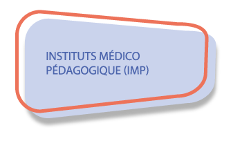 INSTITUTS MÉDICO PÉDAGOGIQUE (IMP)